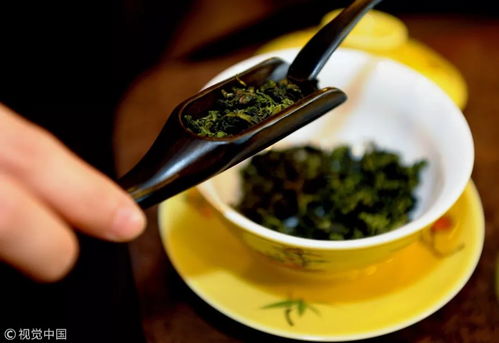 铁观音与乌龙茶，同根同源