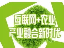2025年农业创业项目，有哪些最快3个月回本的，不怕血本无归？