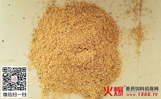 发酵饲料企业标准中，发酵饲料执行标准有哪些具体要求？