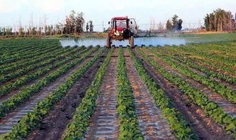 地丁一亩地产量揭秘