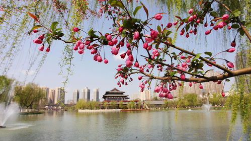 花红柳绿，难道不是春天的象征