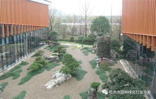 三、 地形优势，巧妙利用