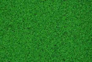 施工前的土地整理