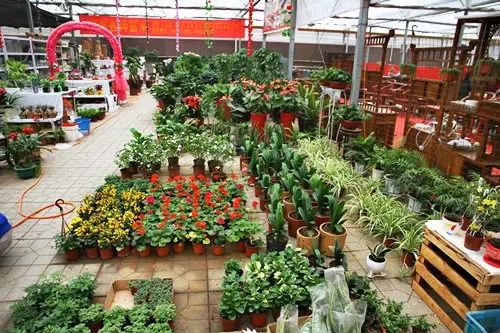 品牌建设：提升店铺知名度