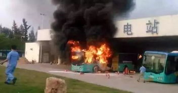 新季小麦上市， 价格备受关注