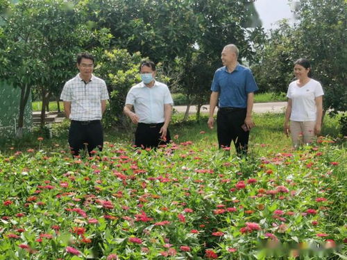 绿色农业，病虫害综合防控技术