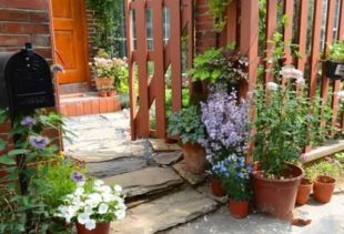 湖北农村院子，花树种植攻略来啦！