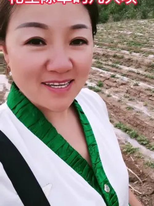 花生高产种植技巧分享