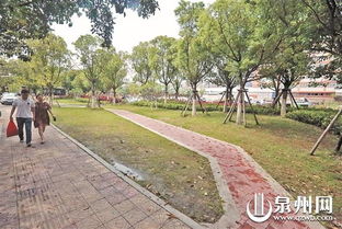 浇水也要讲究，不嫩随便洒水