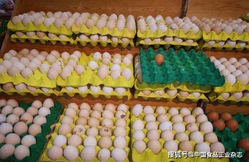 恩诺沙星：高效抗菌