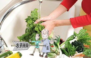 农药残留检测