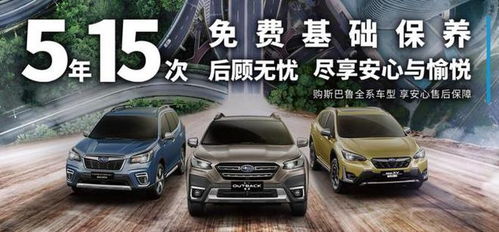 清香解压， 紫色花层，美得不可方物