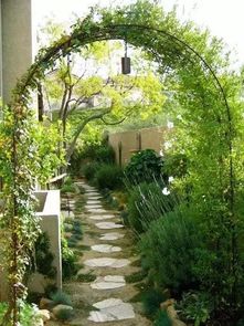 石家庄刘大姐的种植经历：