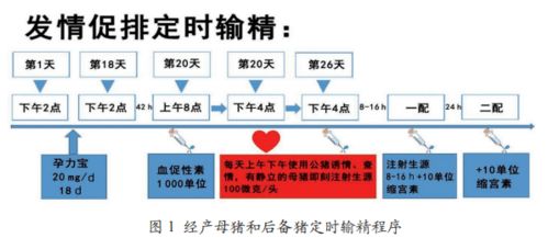 规模化猪场转型三周批批次化生产：效果显著