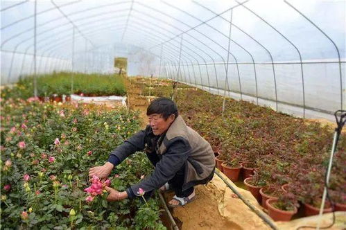 畜禽粪污处理：环境负担