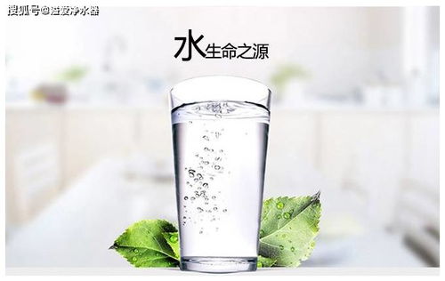 凤山茶油机：探索天然健康，享受纯净滋味