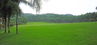 5. 草坪建植方式