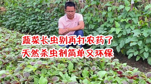 生物农药， 绿色环保又有效