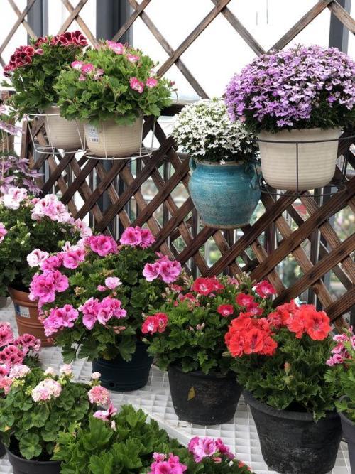 通用营养土公式