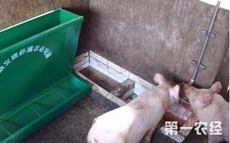 猪饮水器分类：自动/手动；优点