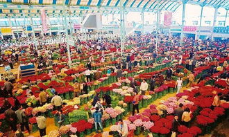 斗南花卉市场的开市时间