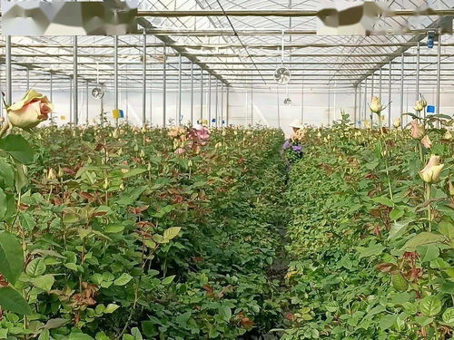 水资源利用， 可持续发展