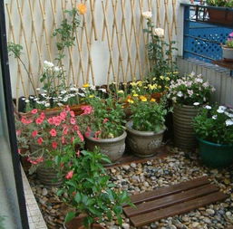 藤蔓植物， 架设要讲究