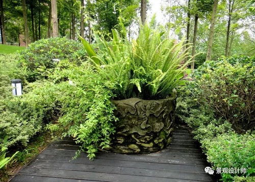 电影里的植物，让我学到了啥？