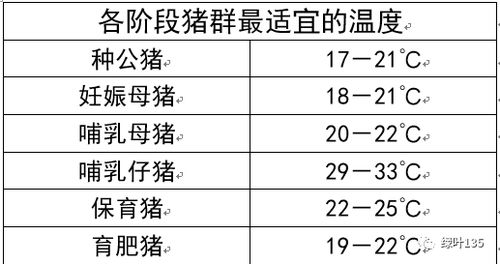 猪场温度计使用常见误区有哪些？如何避免温度管理失误