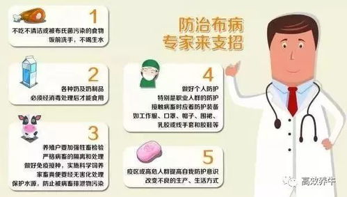 新型农业养殖疾病：猪布鲁氏菌感染