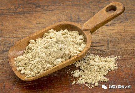 哪种谷物在加工过程中含有的米糠油比例较高？
