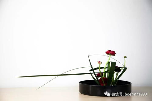 花材的选择与处理