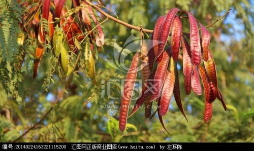 南方育苗时间：春暖花开正当时