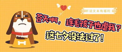 我家毛孩子吃的这款狗粮成分真的安全，不会对它健康造成影响吗？