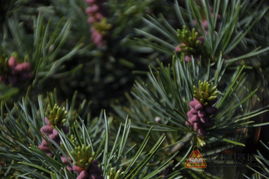 春天是播种的蕞佳时光