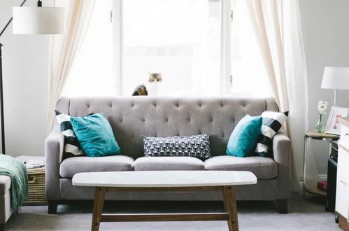 使用方法：搅拌均匀， 耐心等待