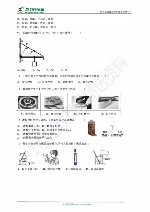 植物繁殖：根、茎、叶的魔法