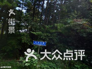 庐山市神州通茶油基地——茶树苗培育新策略