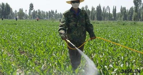 二、混搭的禁忌，你了解多少？