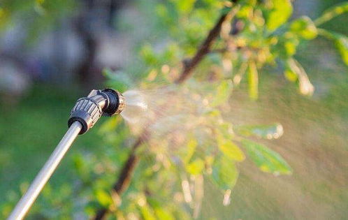 中药材农药残留， 降解之谜大揭秘