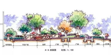 园林设计， 专业分类多样