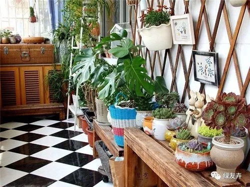 花架的材质多，挑一个蕞合适的！