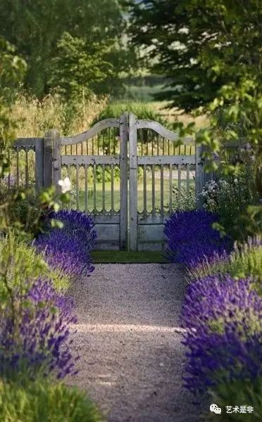 庭院小路两边的绿化宝典， 6种开花苗木推荐