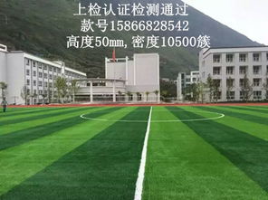 草坪的用途与价格