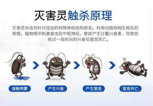 了解驱蚊杀虫剂的基本知识