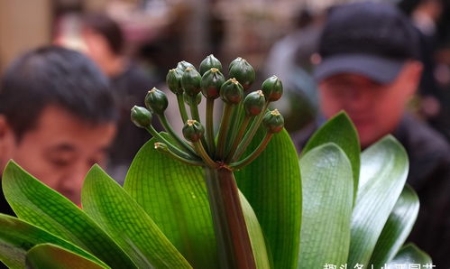 晾晒与干燥储存