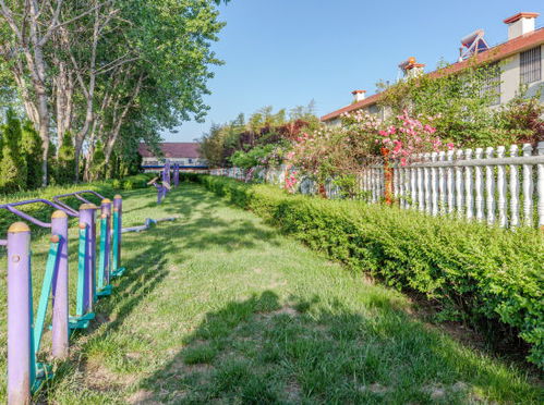 适合在北方地区的别墅花园种植