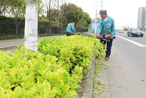 开头啦， 咱们聊聊这土厚问题
