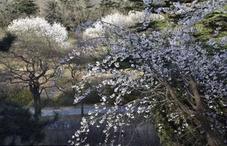 品种繁多， 美不胜收