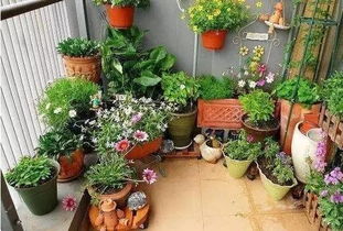 真情流露，自然由衷